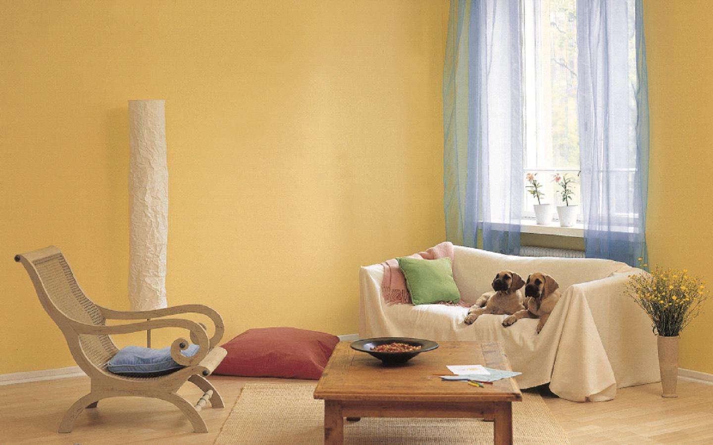 家装墙壁颜色如何搭配家装墙壁颜色搭配技巧