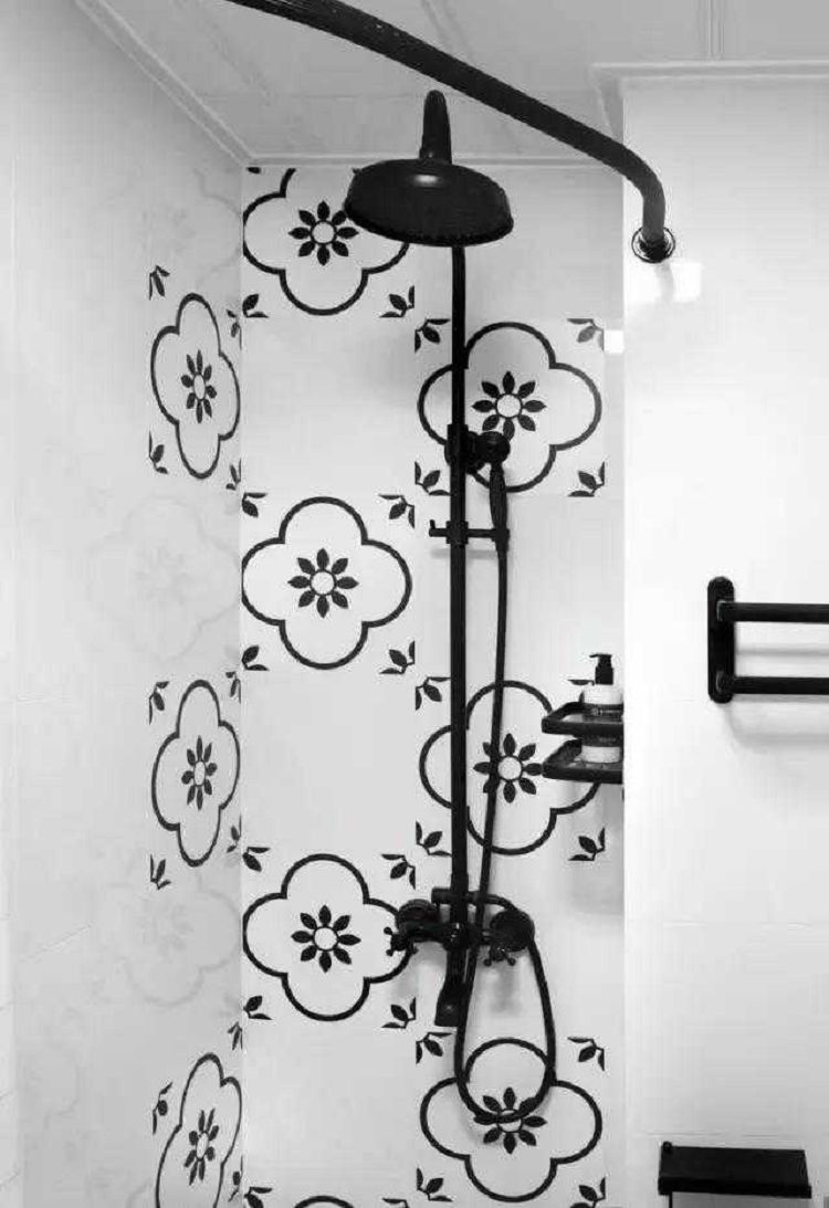 能够净化空气的室内植物有哪些