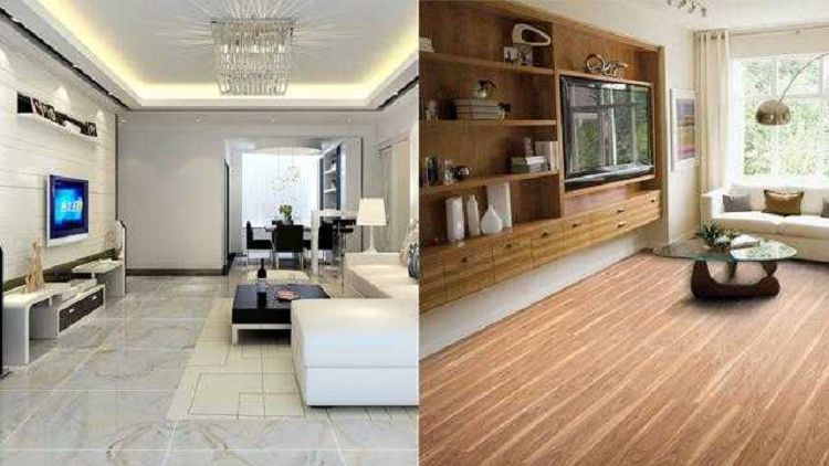 净化空气的植物有哪些净化空气的注意事项