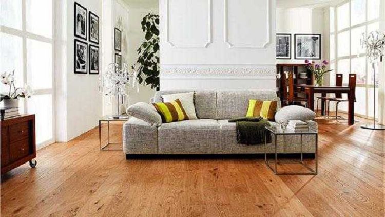 净化空气的植物有哪些净化空气的注意事项